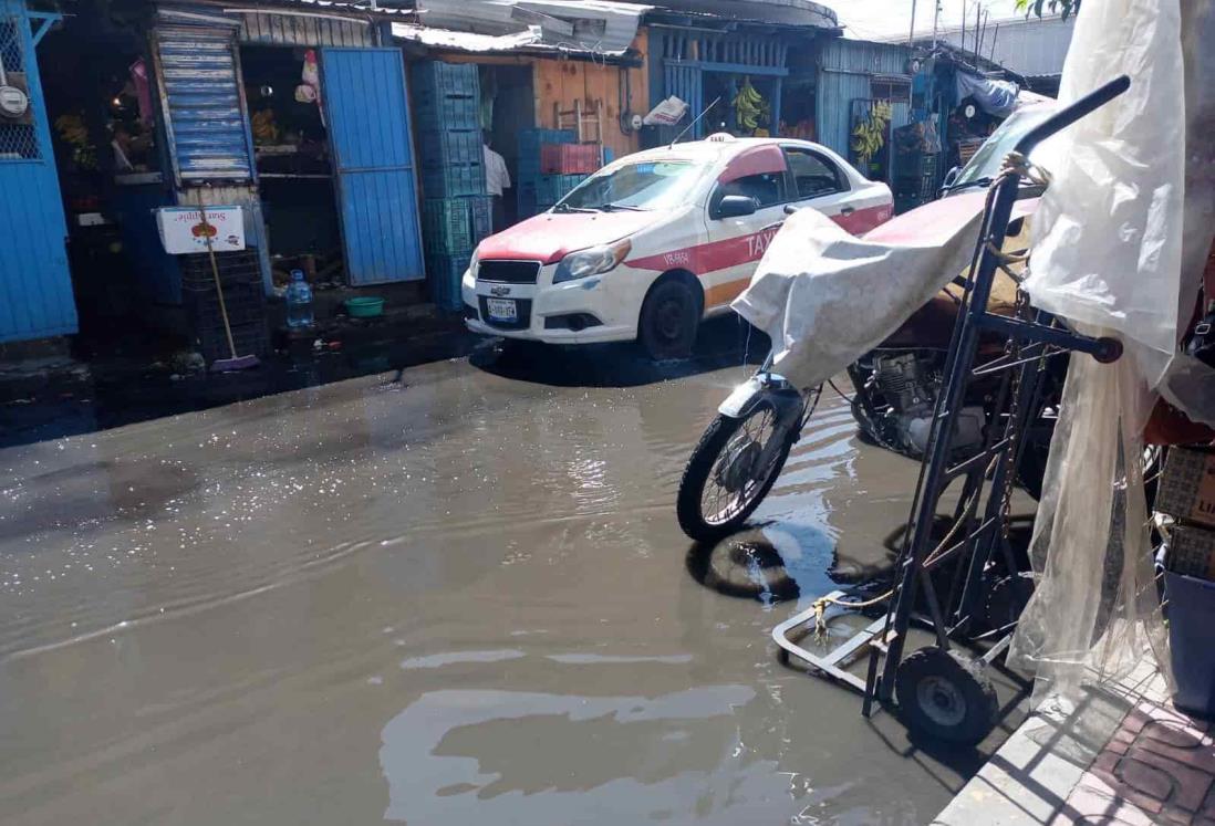 Mercados de Veracruz están inundados de aguas negras