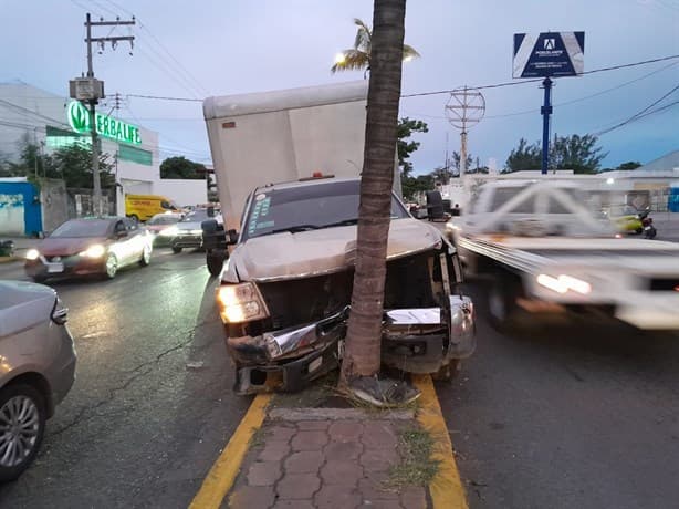 Camión de carga se estrella contra palmera en la colonia López Mateos, en Veracruz