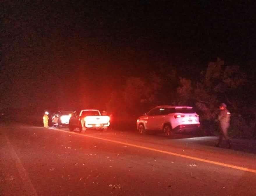 Camionetas chocan contra ganado en carretea de Alvarado