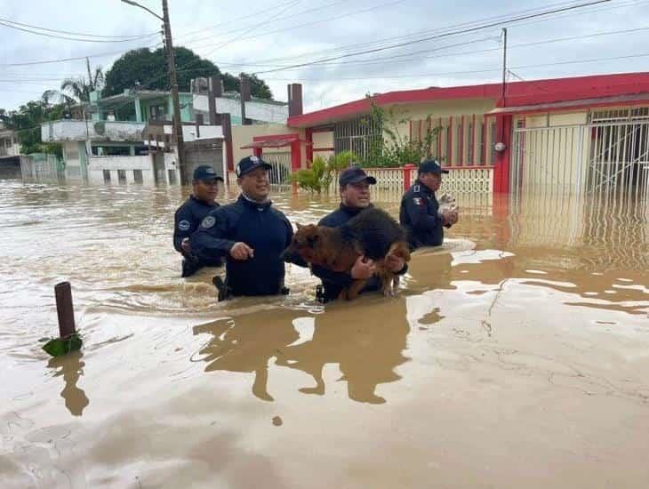 Cientos de casas son afectadas por crecimiento de río Agua Dulce