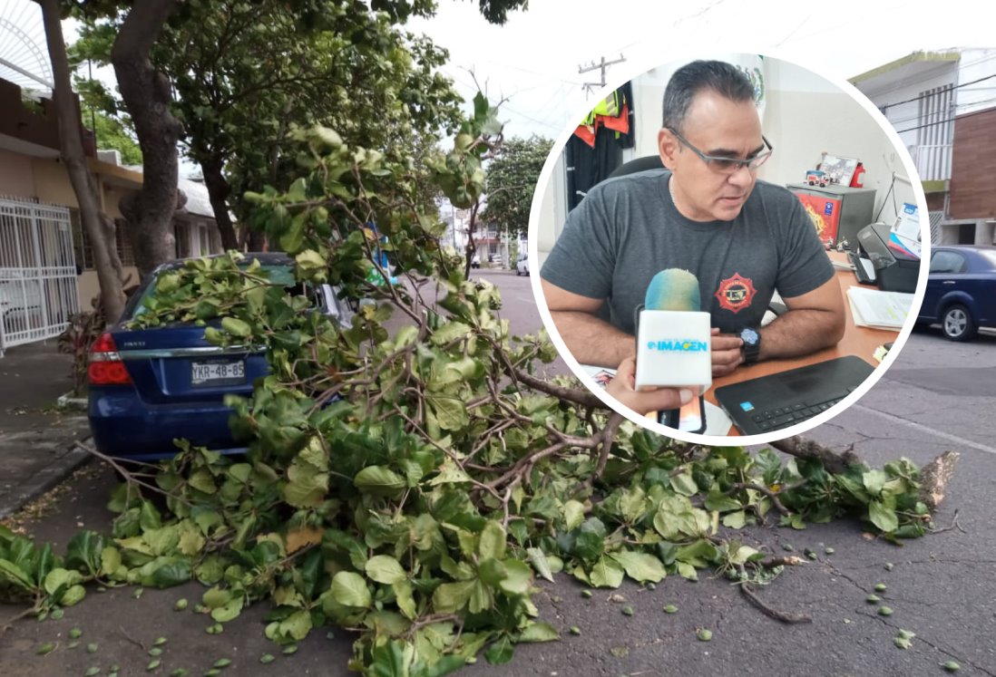 Protección Civil atendió 150 reportes en Veracruz por Frente Frío 8