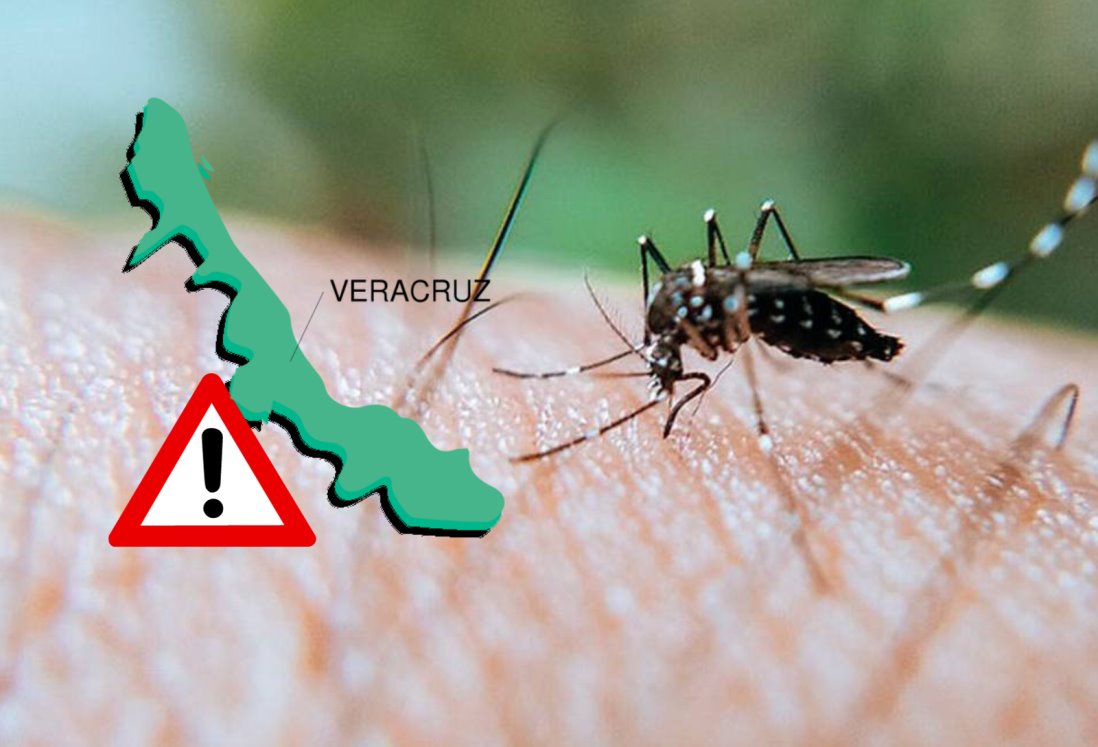 Se agudizan casos de dengue en Veracruz; hay más de 500 contagiados