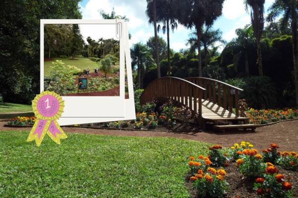 Jardín Botánico Clavijero recibe certificación internacional 