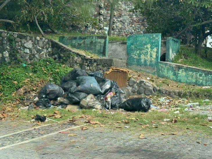 Denuncian abandono en espacio de la UV región Veracruz