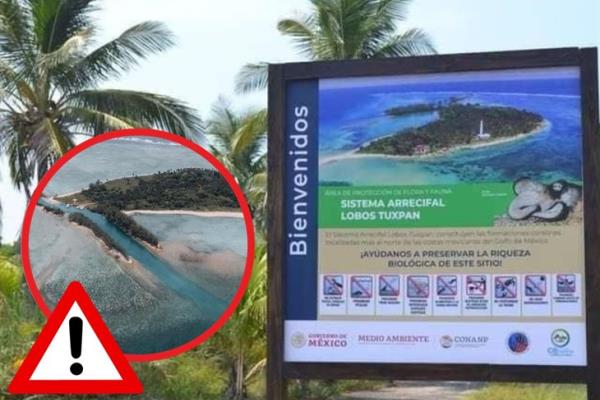 Cierran acceso a la Isla Lobos tras detección de gripe aviar