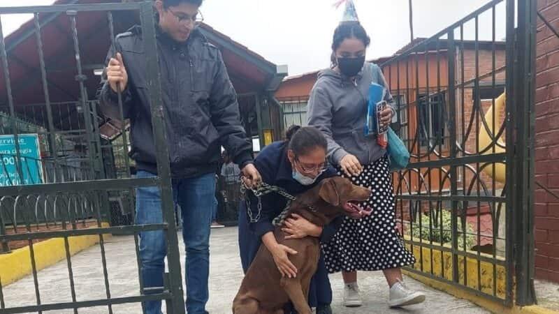 ¿Por qué “arrestaron” al perro Goliat que se hizo viral en Veracruz?