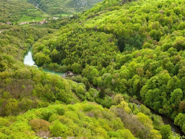 Soluciones basadas en la naturaleza