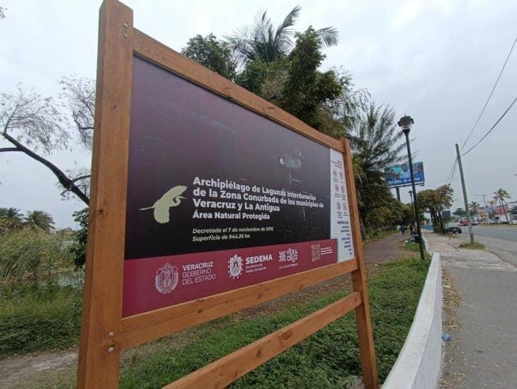 Con basura y sin luz está la pista de la laguna Malibrán en Veracruz