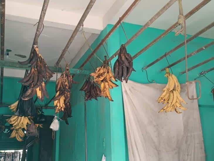 Por sequía sube el precio del plátano en mercados de Veracruz
