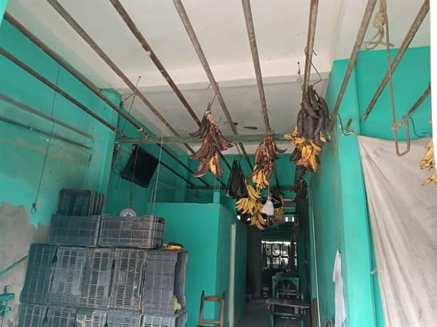 Por sequía sube el precio del plátano en mercados de Veracruz