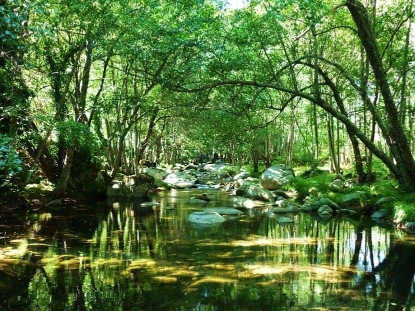 Soluciones basadas en la naturaleza