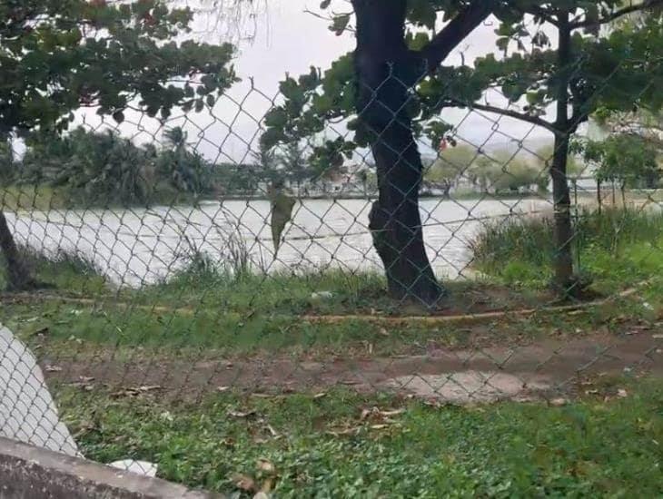 Encuentran a hombre sin vida flotando en Laguna Malibrán de Veracruz