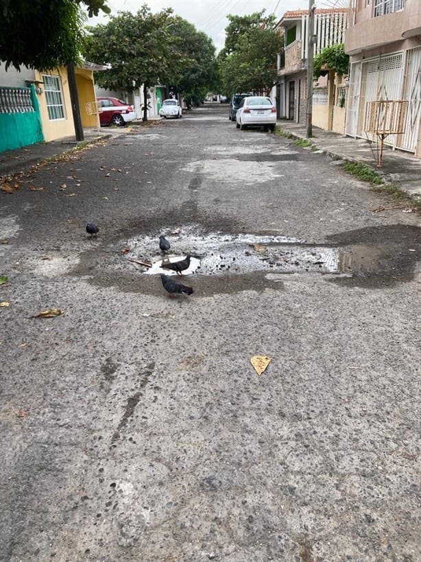 Colonia de Veracruz sufre múltiples fugas que no son atendidas por GrupoMAS