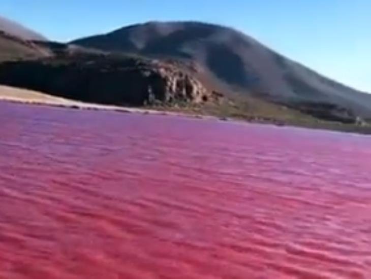 En Egipto el Río Nilo se tiñe de rojo ¿Es presagio bíblico?