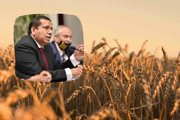 Sedarpa entregará apoyos a productores afectados por sequía este 2023
