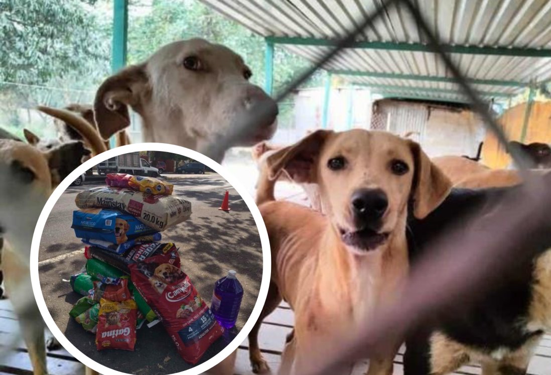 Anuncian Croquetón para apoyar al albergue canino La Roca, en Veracruz