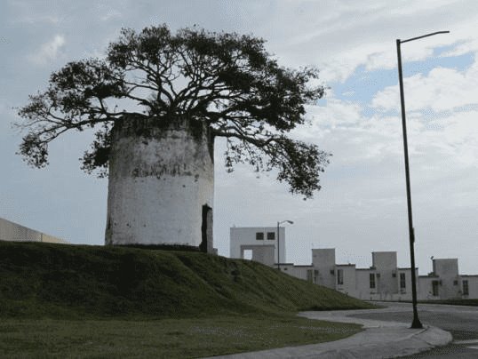 ¿Sabías que en Tejería hay vestigios de las torres de vigilancia en la época de piratas?