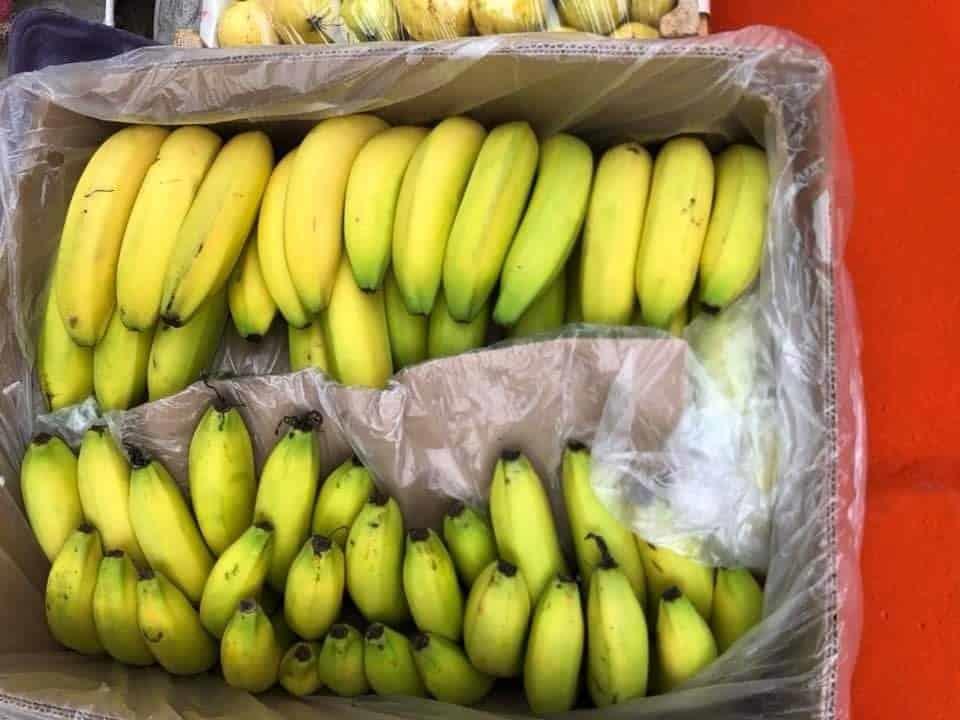 ¿Sabes qué frutas aumentaron de precio en mercados de Veracruz? Te decimos