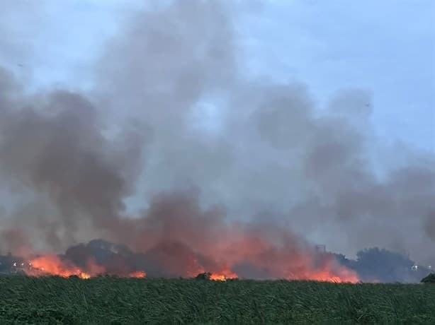 Se registra incendio de pastizal cerca de fraccionamiento de Veracruz