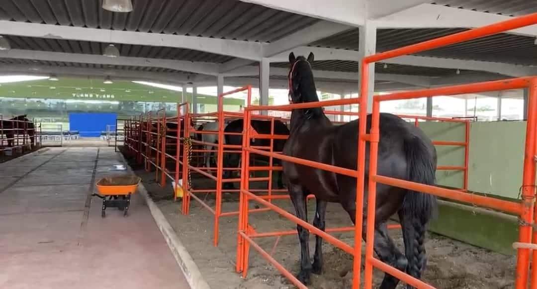 Inicia la Expo Feria del Caballo 2023 en Boca del Río