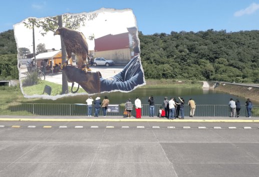 II Festival Aves del Chirimoyo, fomenta la conciencia ambiental
