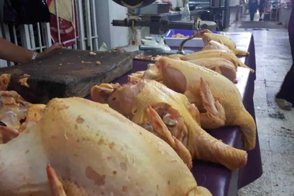 Incremento en el precio del pollo pone en jaque a amas de casa de Misantla 