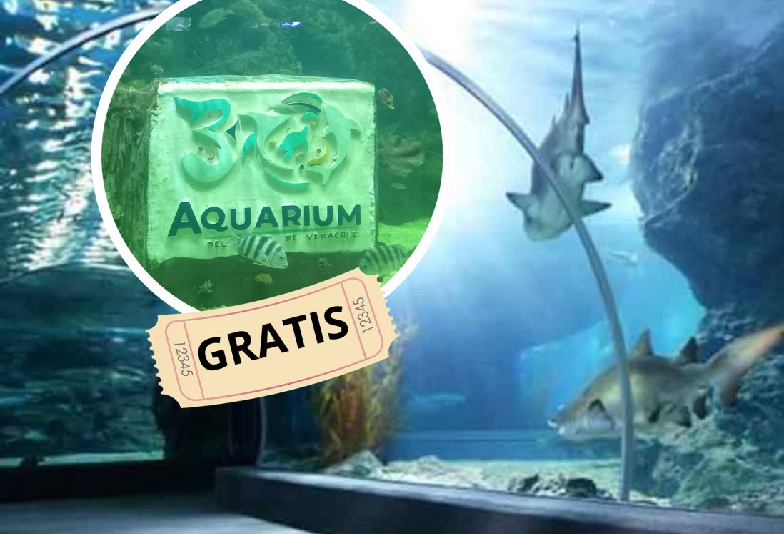 Este es el último día del 2023 que podrás entrar GRATIS al Acuario de Veracruz