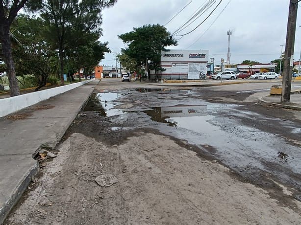 Alertan sobre baches gigantes al costado de la Laguna Malibrán