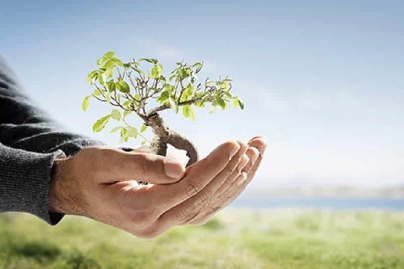 Día Nacional de la Conservación, compromiso con el futuro