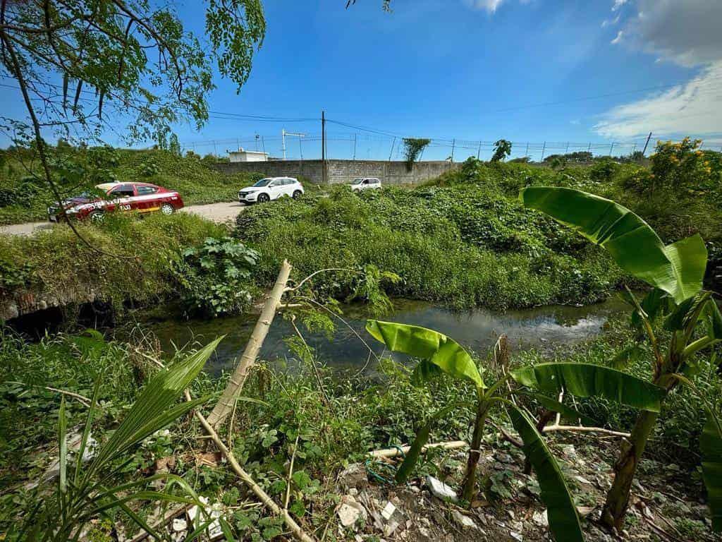 Colonia Granjas de Río Medio, en Veracruz, con severas carencias; piden auxilio