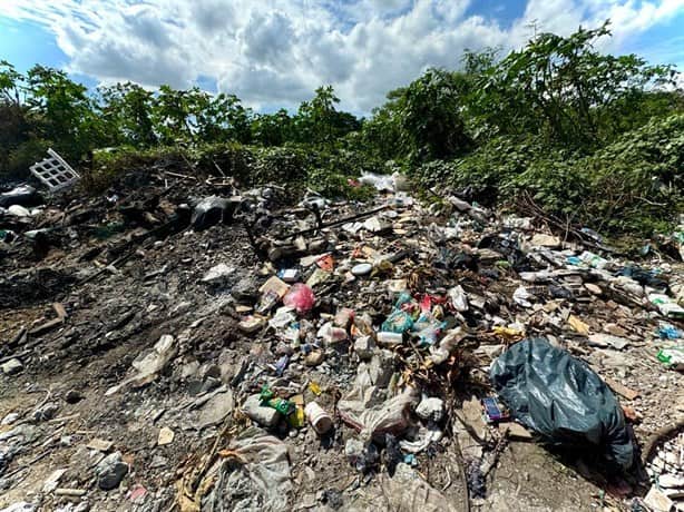 Colonia Granjas de Río Medio, en Veracruz, con severas carencias; piden auxilio