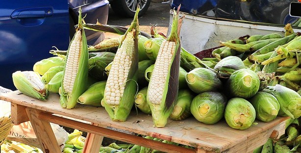 ¿Antojo de unos tamales o esquites? En este mercado de Veracruz encontrarás los elotes a $1