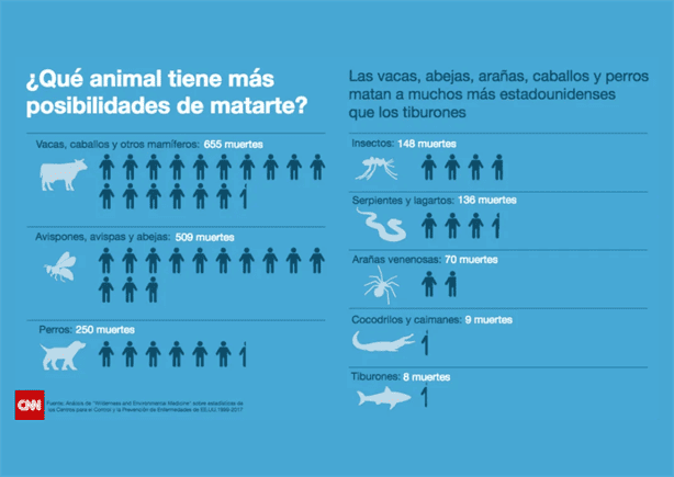 Qué hacer si un tiburón te ataca; así puedes defenderte