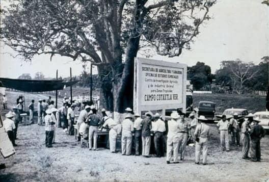 Campo Experimental Cotaxtla cumple 69 años de su creación