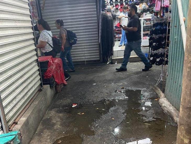 Mercados de Veracruz, inundados de aguas negras cada vez que llueve