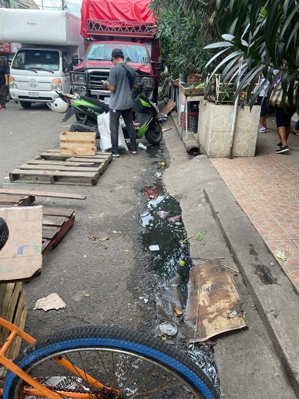 Mercados de Veracruz, inundados de aguas negras cada vez que llueve