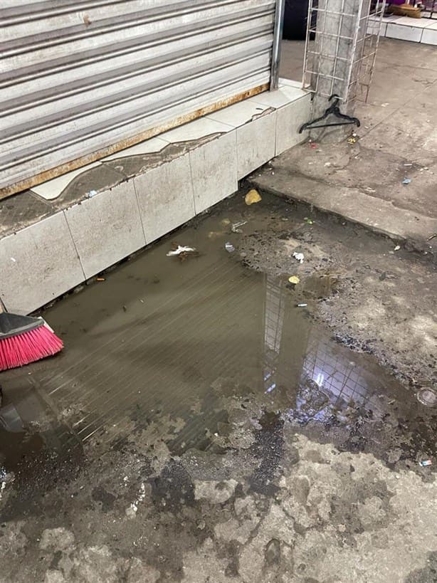 Mercados de Veracruz, inundados de aguas negras cada vez que llueve