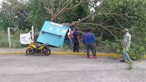 Norte derriba árboles, semáforos, postes y daña autos en Veracruz y Boca del Río