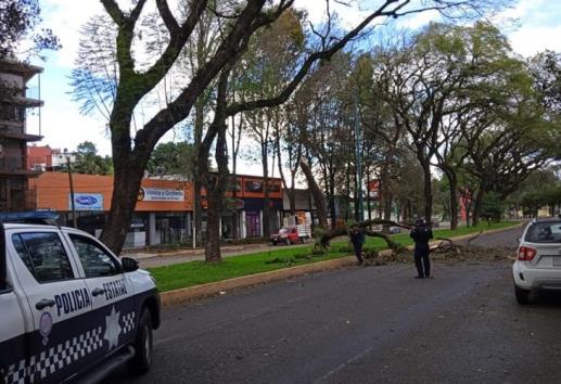 Protección Civil de Xalapa emite Aviso Preventivo por fuerte viento
