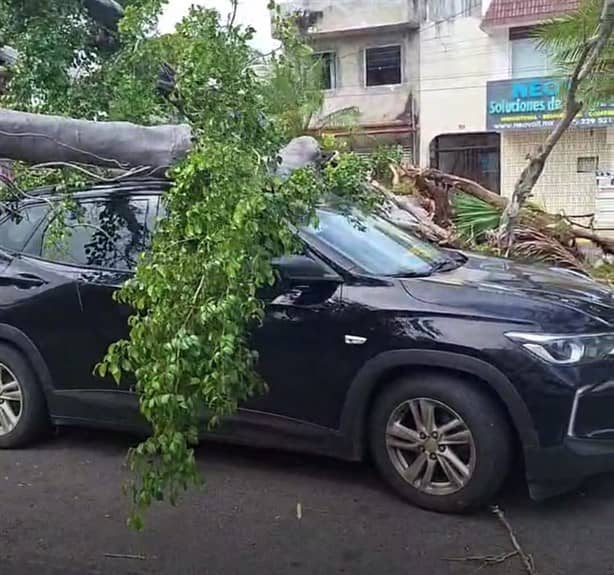 Norte derriba árboles, semáforos, postes y daña autos en Veracruz y Boca del Río