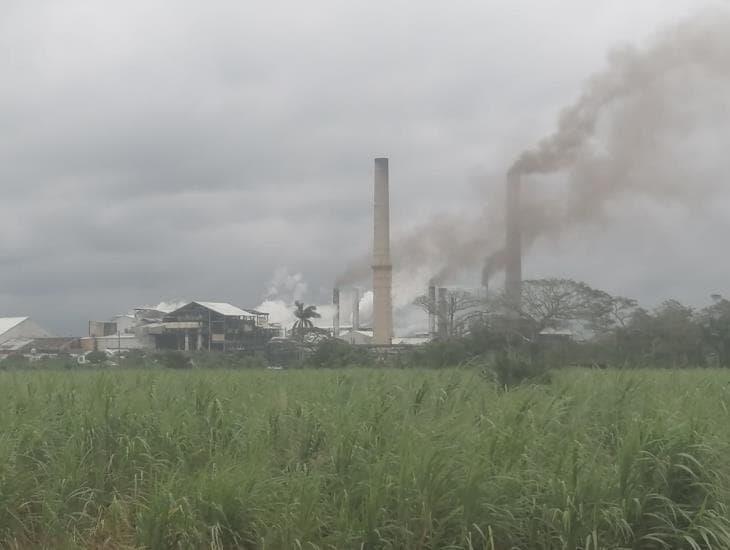 Cañeros del Papaloapan acusan a empresa por atraso en producción del ingenio  San Cristóbal