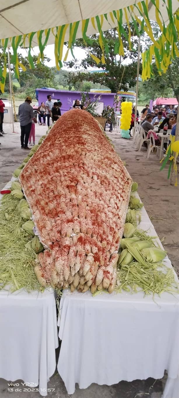 Crean el elote más grande en este municipio de Veracruz