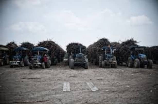 Cañeros del Papaloapan acusan a empresa por atraso en producción del ingenio  San Cristóbal