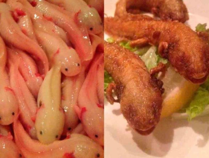 Restaurante de Japón da de comer ajolotes fritos