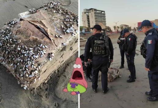 Paquetes con droga recalan en playas de Coatzacoalcos