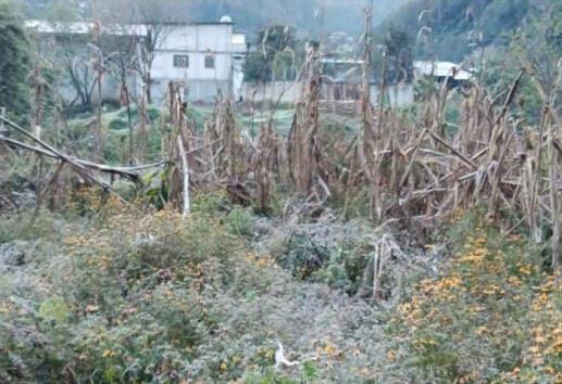 Se registraron heladas en zona serrana de Veracruz