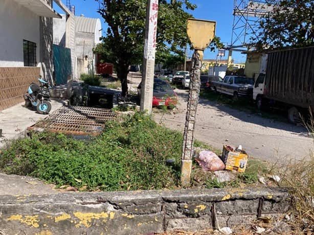 Denuncian acumulación de basura en calles de colonia de Veracruz