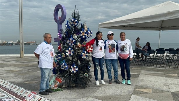 Colectivos colocan el árbol de la ausencia en Plaza de la Soberanía en Veracruz | VIDEO