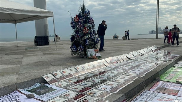 Colectivos colocan el árbol de la ausencia en Plaza de la Soberanía en Veracruz | VIDEO