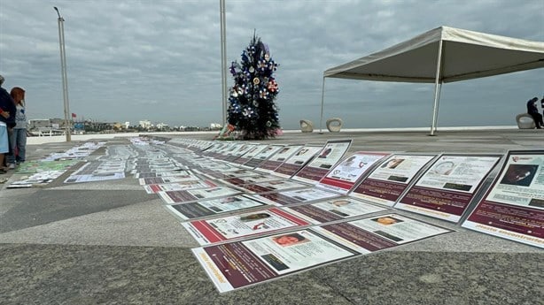 Colectivos colocan el árbol de la ausencia en Plaza de la Soberanía en Veracruz | VIDEO